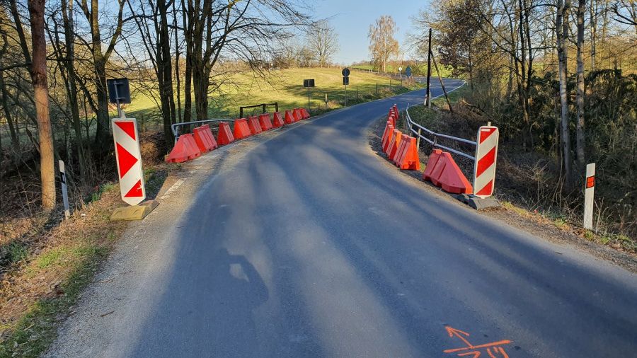 Rekonstrukci silnice v Českém ráji padlo za oběť 850 stromů